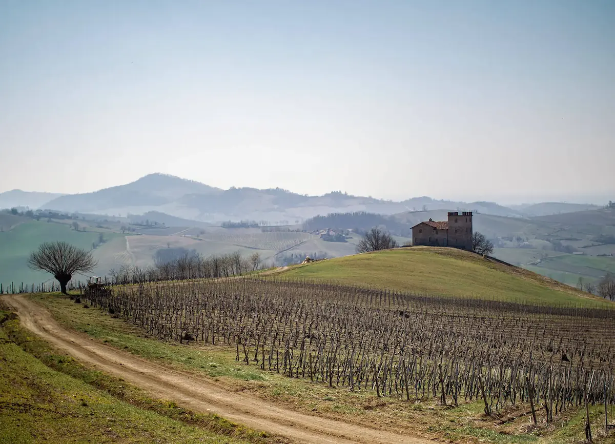 Collezione Oltrepò Pavese: il territorio ideale per vini eleganti e naturali - Losito e Guarini