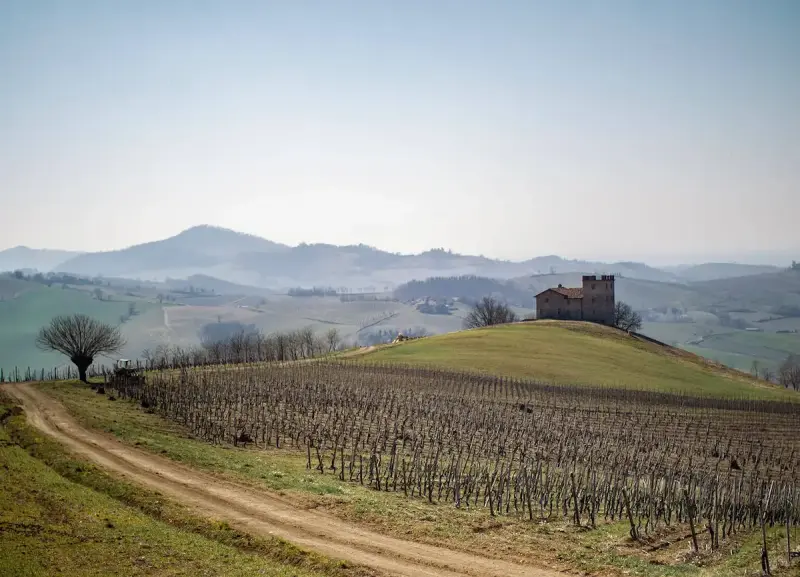 Collezione Oltrepò Pavese: il territorio ideale per vini eleganti e naturali