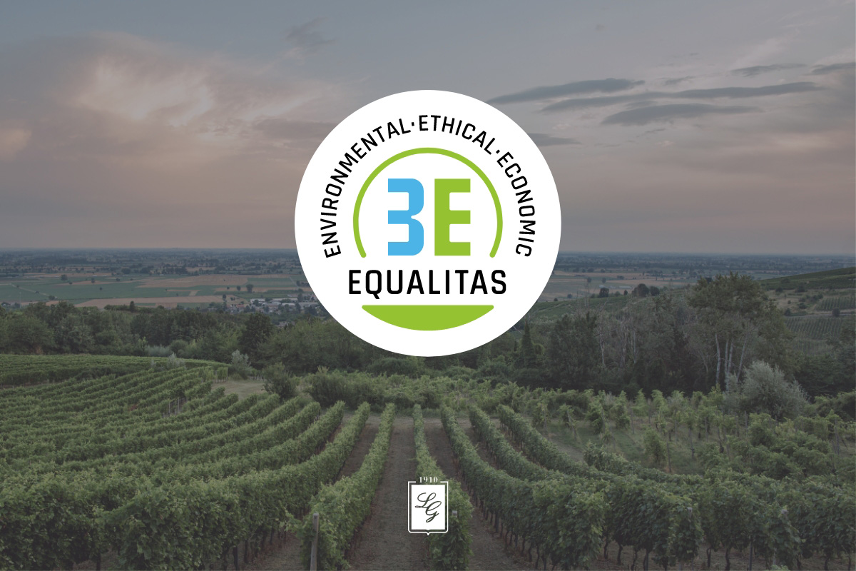 xx - Losito e Guarini