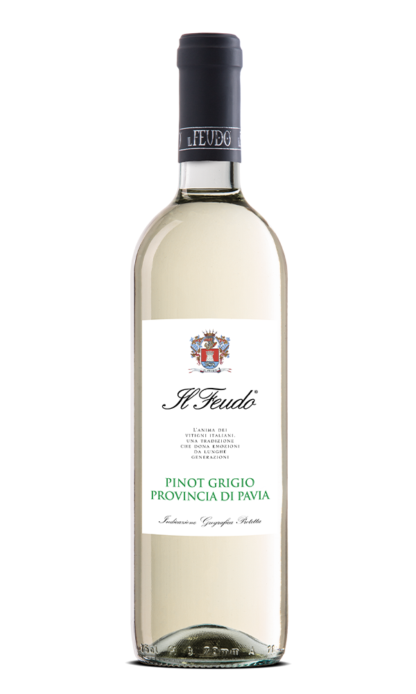 Pinot Grigio DOC provincia di Pavia - Losito e Guarini