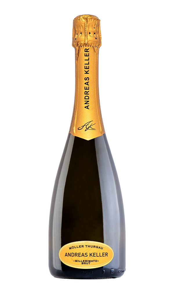 Spumante Millesimato Brut - Losito e Guarini