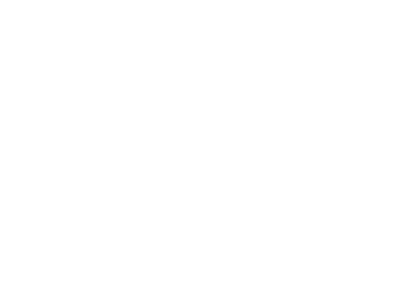 Selezione Luigi Guarini